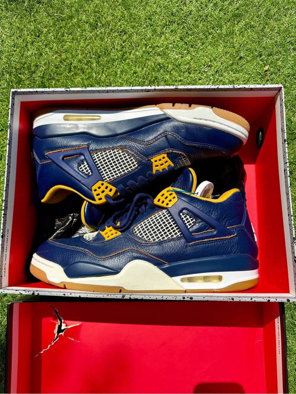 Jordan 4 Retro Dunk From Above Size 12